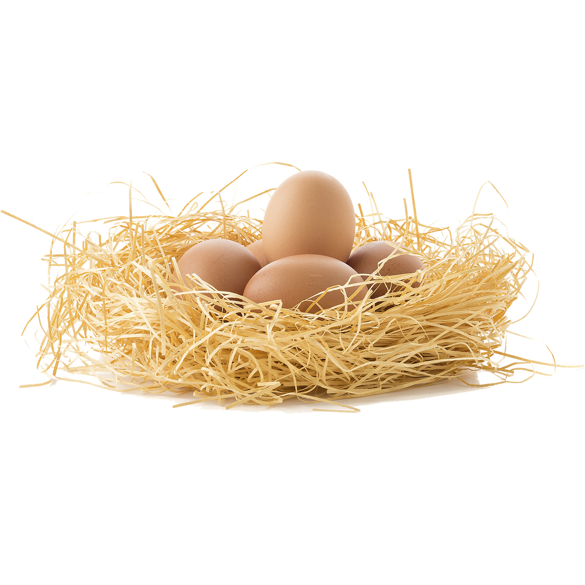 Huevos ecológicos