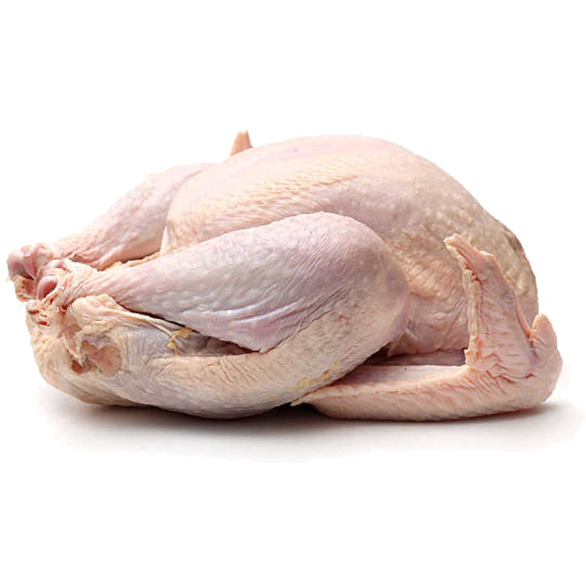 Pavo