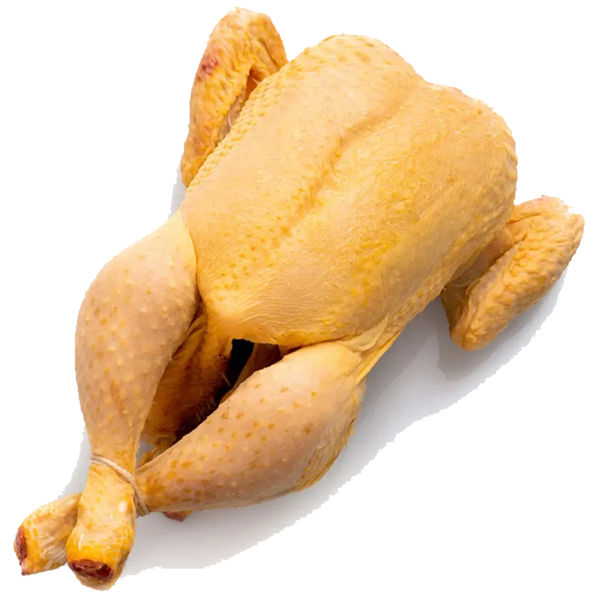 Pollo de corral